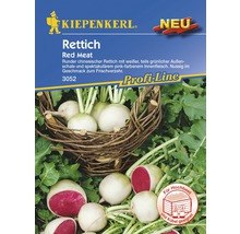 Kiepenkerl Red Meat Radieschensamen für den Anbau im Garten