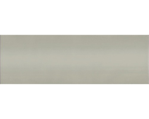 Feinsteinzeug Wandfliese Luna 25,0x75,0 cm grau