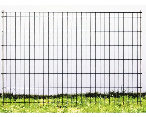 Drahtzaun vor Rasenfläche