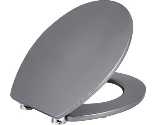 WC-Sitz Form & Style Metallic silver mit Absenkautomatik