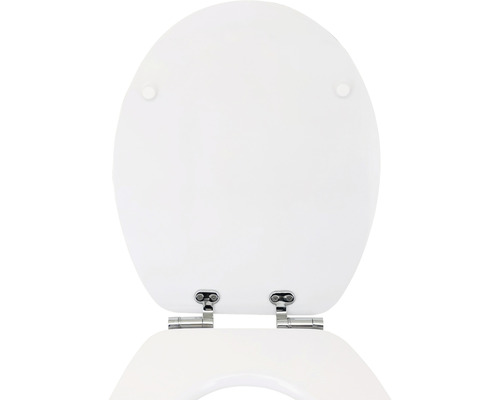 Toilettendeckel aus Sanitärkeramik