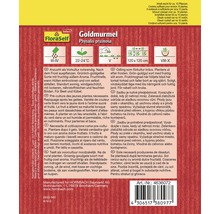 Samenpackung Goldmurmel Physalis pruinosa