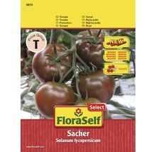 FloraSelf Sacher Tomatensamenpackung