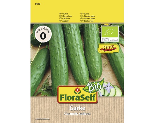 Bio Gurke 'Marketmore' FloraSelf Bio samenfestes Saatgut Gemüsesamen