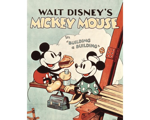 Leinwandbild Disney Mickey Mouse in Building a Building 40x50 cm