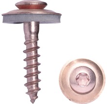 Blechschraube mit Dichtscheibe und Torx Antrieb