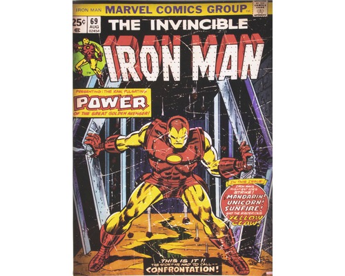 Leinwandbild Marvel Iron Man 50x70 cm