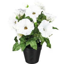 Kunstpflanze mit weißen Blüten in schwarzem Topf