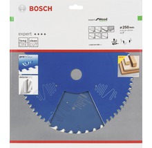 Bosch Expert Wood Kreissägeblatt, 250 Millimeter Durchmesser