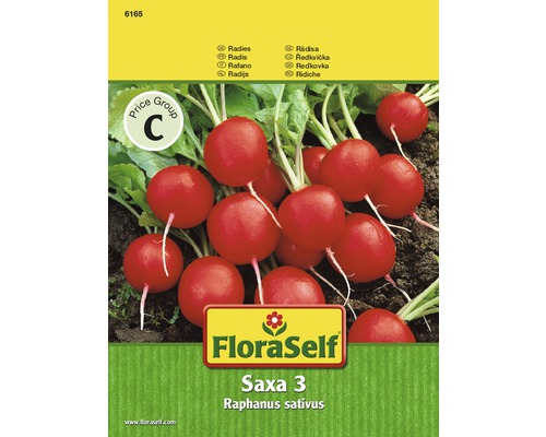 Gemüsesamen FloraSelf Radieschen 'Saxa 3'