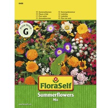FloraSelf Sommerblumen Mischung Samenpackung