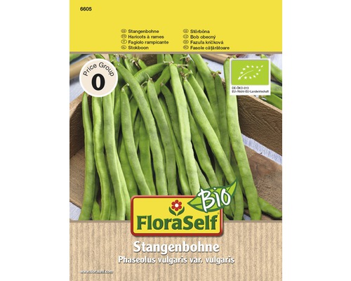 BIO-Stangenbohne, grün Gemüsesamen 'Phaseolus vulgaris var, vulgaris'