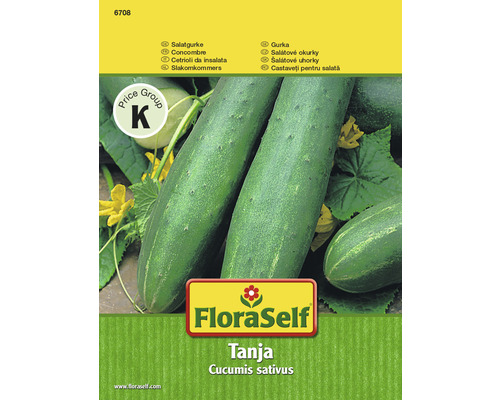 Salatgurke 'Tanja' FloraSelf samenfestes Saatgut Gemüsesamen
