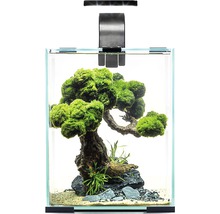 Aquarium mit Aquariumpflanzen, Wurzelholz und Beleuchtung