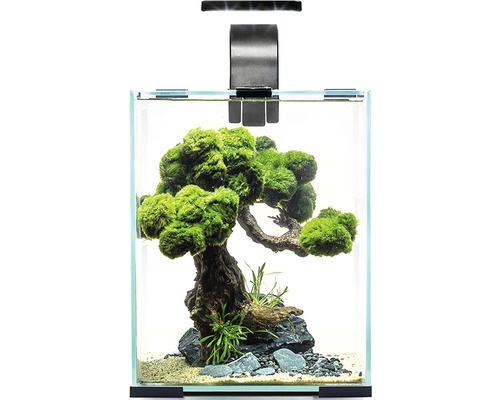 Aquarium mit Aquariumpflanzen, Wurzelholz und Beleuchtung
