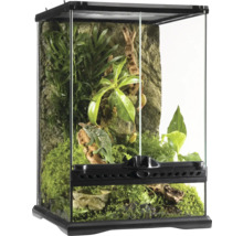 Eingerichtetes Glasterrarium mit Pflanzen und Tier