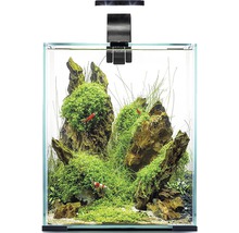 Eingerichtetes Nano Aquarium mit Aquarienleuchte, Pflanzen, Steinen und Garnelen