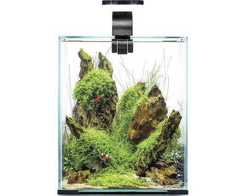 Eingerichtetes Nano Aquarium mit Aquarienleuchte, Pflanzen, Steinen und Garnelen