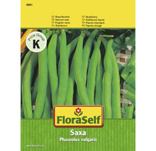 FloraSelf Saxa Buschbohnen-Samenpackung