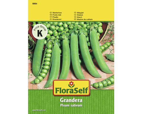Markerbse 'Grandera' FloraSelf samenfestes Saatgut Gemüsesamen