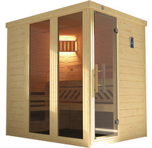 Sauna mit Glastür und Holzverkleidung