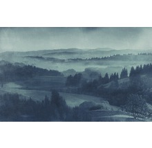 Landschaft mit Bergen und Bäumen im Nebel