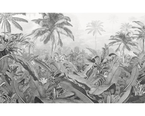 Fototapete Vlies P013-VD4 Pure Amazonia Black and White 4-tlg. 400 x 250 cm Tropischer Wald als Tapetenmuster mit Palmen und großen Blättern