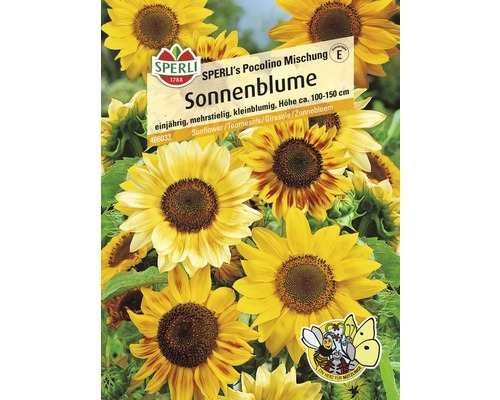 Sonnenblume 'Picolino Mix' Sperli Blumensamen