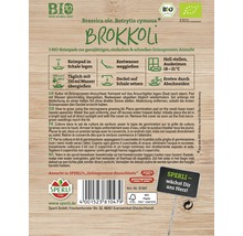 Samenpackung Brokkoli mit Anzuchtanleitung