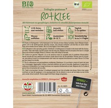 Samenpackung Rotklee für die Keimsprossen Anzucht
