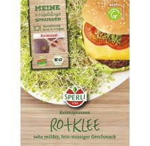 Keimsprossen Sperli Bio Keimsprossen 'Rotklee'