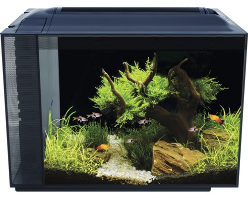 Aquarium gestalten 60 2025 liter