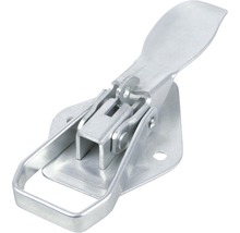 Metallischer Kniehebelverschluss