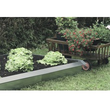 Hochbeet aus Metall mit Salat und ein Bollerwagen mit Blumen im Garten.