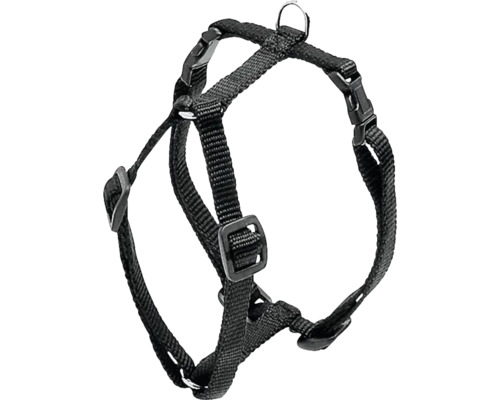 Schwarzes Hundegeschirr mit verstellbaren Riemen und Metallschnalle.
