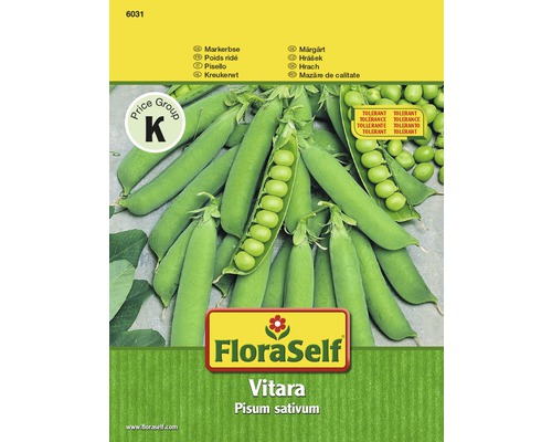 Markerbse 'Vitara' FloraSelf samenfestes Saatgut Gemüsesamen
