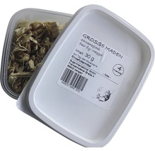 Große Maden in einer 30 Gramm Verpackung für Einzeltierfutter