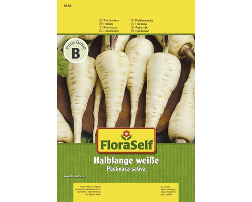 Pastinaken 'Halblange weiße' FloraSelf samenfestes Saatgut Gemüsesamen