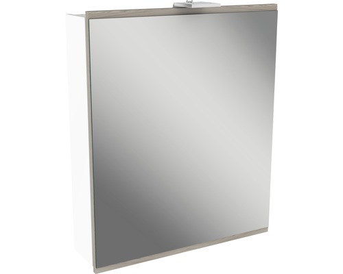 LED-Spiegelschrank Fackelmann Lima 1-türig 60x73 cm weiß/Steinesche Spiegelschrank mit Beleuchtung für das Badezimmer