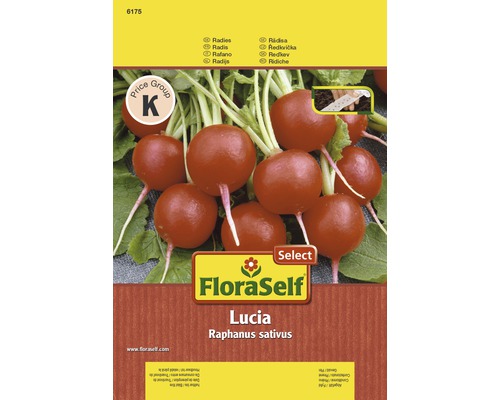 Radieschen 'Lucia' FloraSelf Select F1 Hybride Gemüsesamen