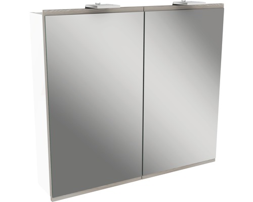 LED-Spiegelschrank Fackelmann Lima 2-türig 80x73 cm grau Spiegelschrank mit zwei Türen und Beleuchtung