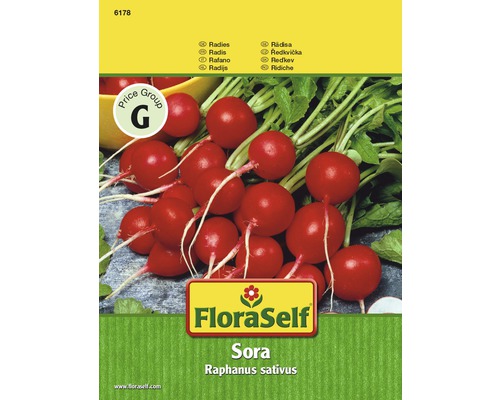 Radieschen 'Sora' FloraSelf samenfestes Saatgut Gemüsesamen