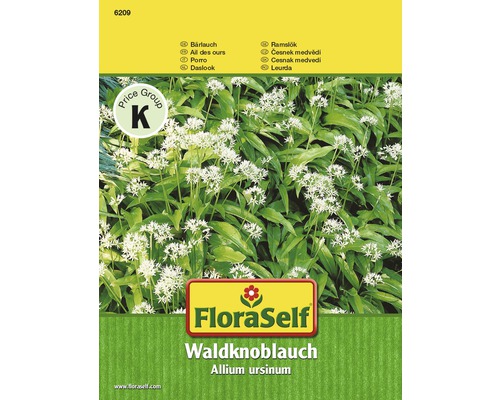 Bärlauch 'Waldknoblauch' FloraSelf samenfestes Saatgut Kräutersamen