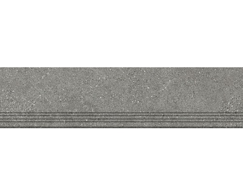 Feinsteinzeug Treppenstufe Alpen 30,0x120,0 cm grau matt