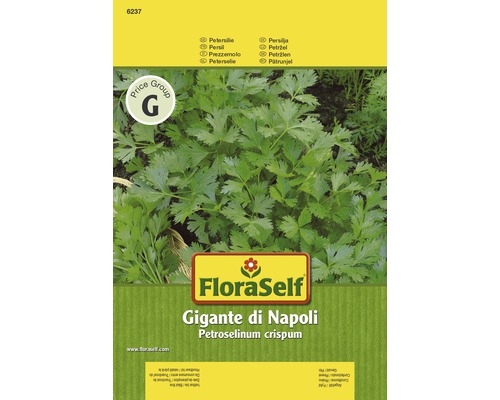 Petersilie 'Gigante di Napoli' FloraSelf samenfestes Saatgut Kräutersamen
