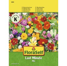 FloraSelf Last Minute Mix Blumensamenpackung