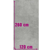 Feinsteinzeug Bodenfliese Industrial Steel 120x260 cm grau seidenmatt lappato rektifiziert