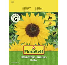 Sonnenblumen-Samenpackung FloraSelf Helianthus annuus Holiday