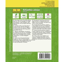 Verpackung Sonnenblumensamen Helianthus annuus Holiday