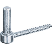 Schraubhaken aus Metall